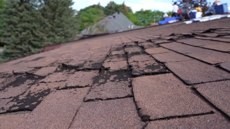 Best Flat Roofing  in Whittier, CA